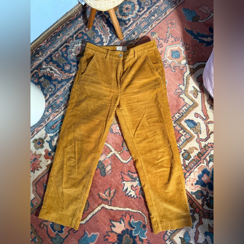 Everlane Corduroy Pants